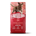 Carnil Active Venis/reind/boar 12KG