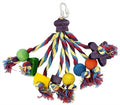 Papegaai Carnival 22CM