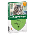 - Advantage Kat 40 <4KG 4PIP