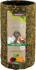 Lenterol M 25CM