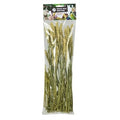 Back Zoo Nature Tarwe 50GR