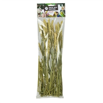 Back Zoo Nature Tarwe 50GR