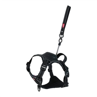Zolux # Easyride Tuig Zwart M 55-67CM