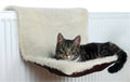 Trixie Trixie Radiatorhangmat Crème/bruin 45x26x31 Cm