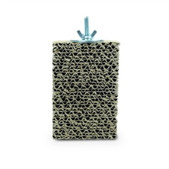 Back Zoo Nature Cardboard Tr Block