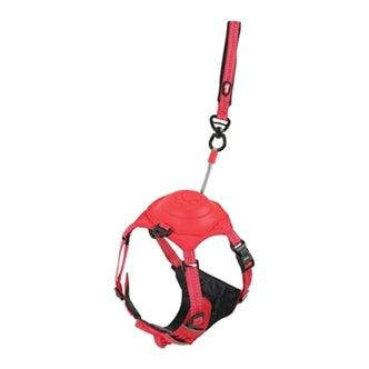 Zolux # Easyride Tuig Rood S 41-54CM