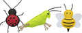 Trixie Insecten Vilt Catnip 11CM 48ST