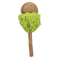 Trixie Matatabi Lolly XXL 13,5CM