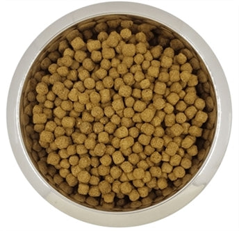 YourDog Dwerg- of Toypoedel Senior Hondenvoer 12 kg