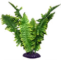 Komodo Boston Varen 25 cm – Decoratie