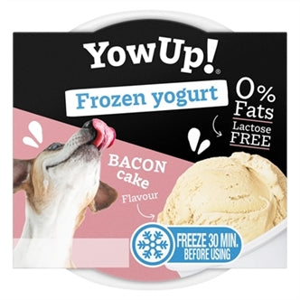 Yowup Frozen Yogh Bacon Cake 110 gram – Snacks Zacht