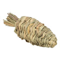 Trixie Wortel Gras 20X6CM