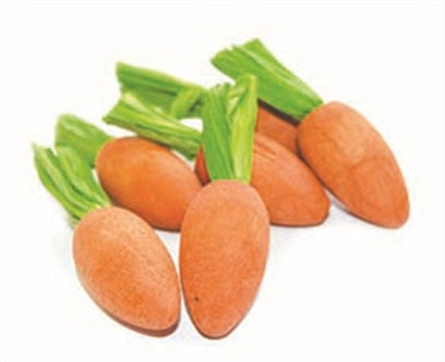 Carrot Nibblers 8X3X3 cm 6ST