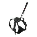 Zolux # Easyride Tuig Zwart l 63-80CM