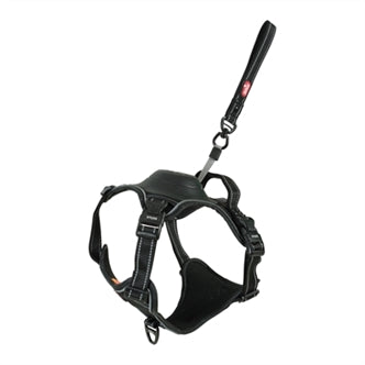 Zolux # Easyride Tuig Zwart l 63-80CM