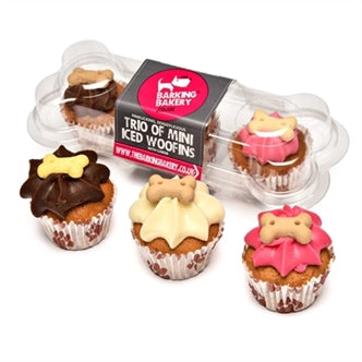 Mini Iced Vanilla/carob Trio Ass