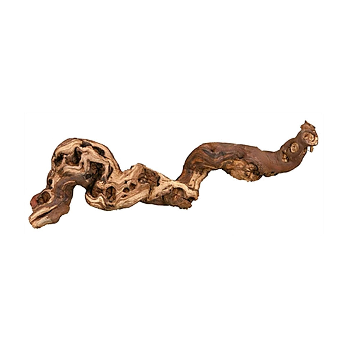 Trixie Druiventakken 30-40 cm 5 stuks