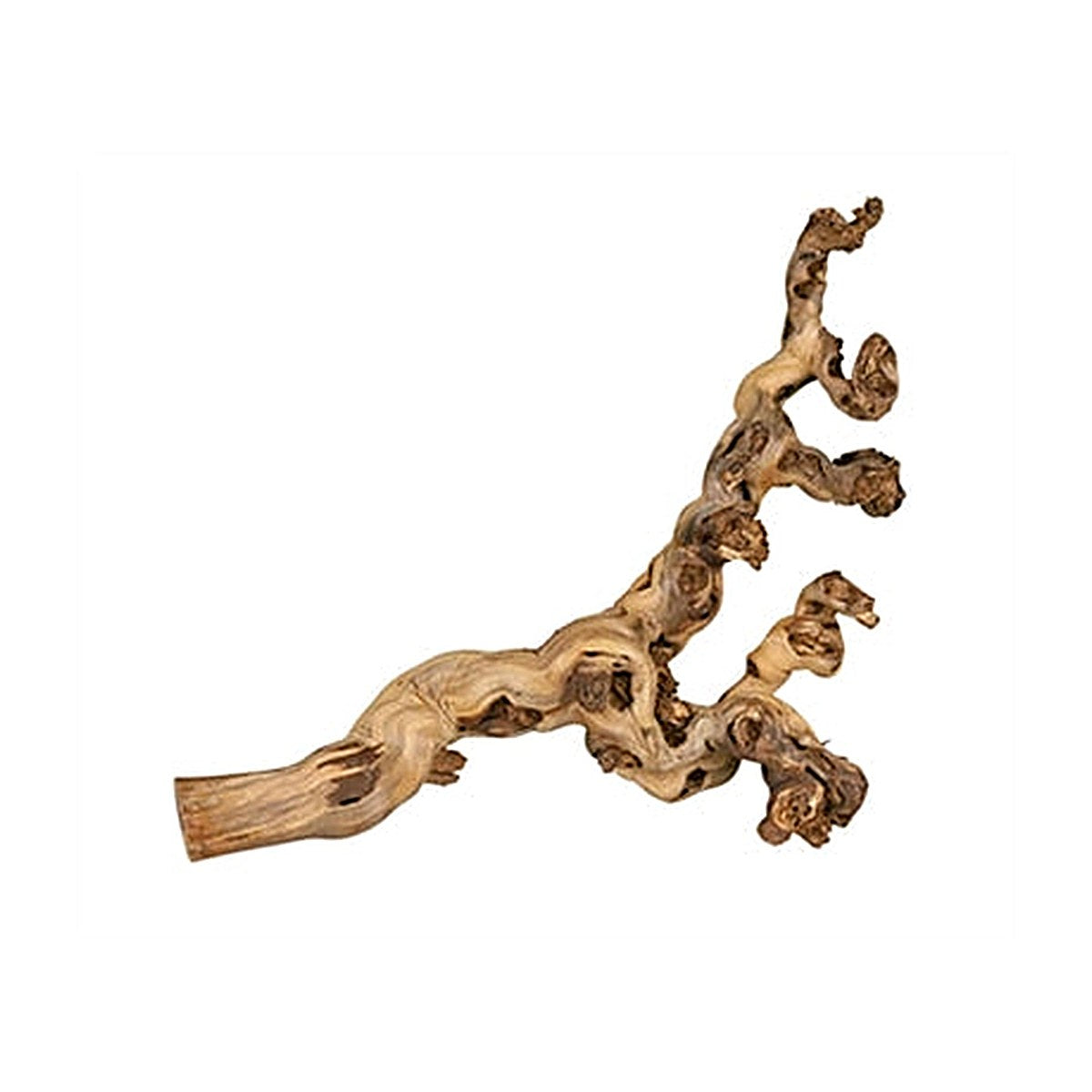 Trixie Druiventakken 55-80 cm 6 stuks