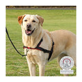Trixie Tuig Lead'n'walk Zwart 65-105X2,5 cm