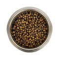 Yourdog Yd Chien Franã BL Et Or Pup 12 kg