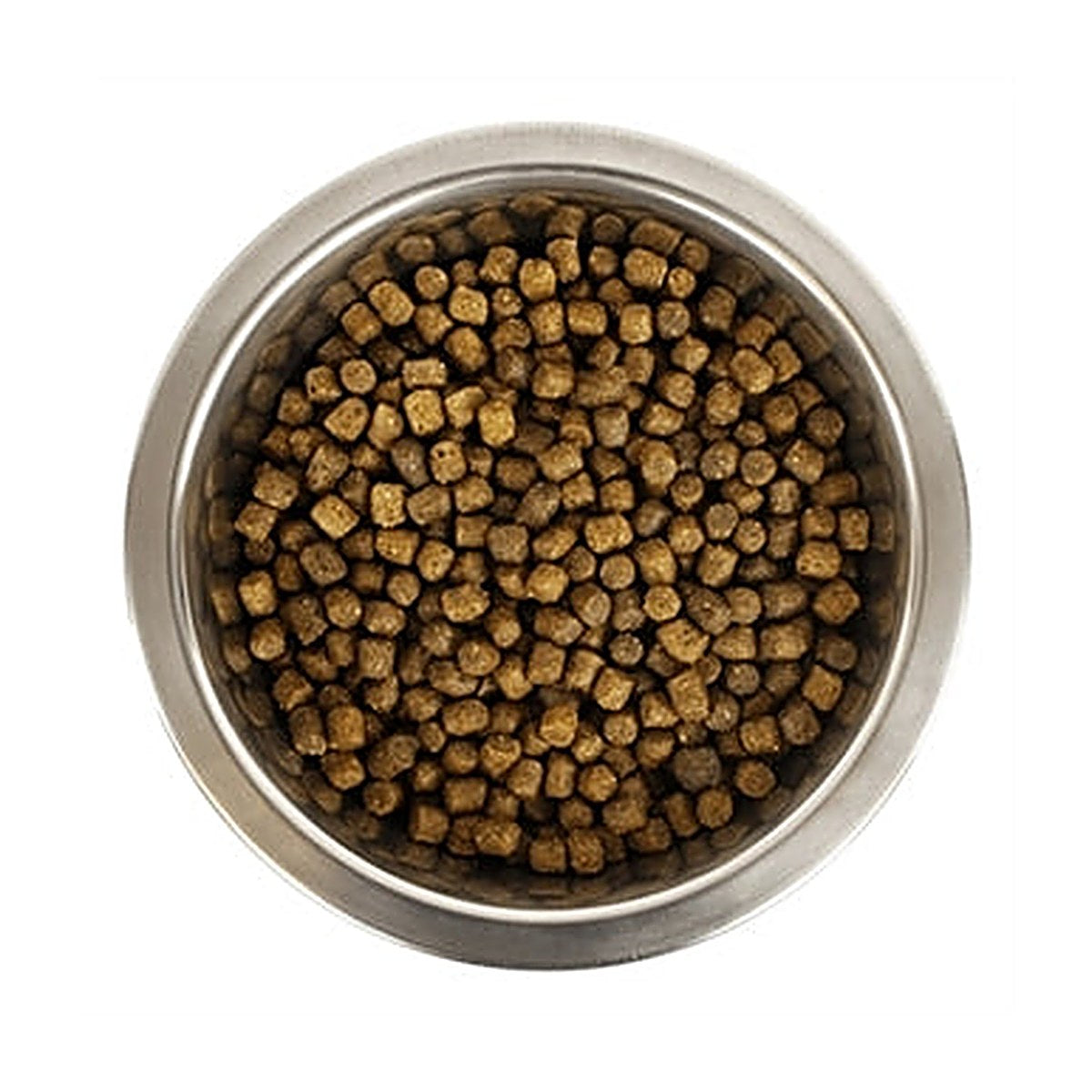 Yourdog Yd Chien Franã BL Et Or Pup 12 kg