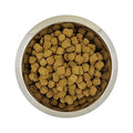Yourdog Yd Chien Franã BL Et Or Volw 12 kg