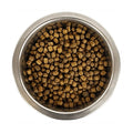 Yourdog Yd Dwerg- Of Toypoedel Pup 12 kg