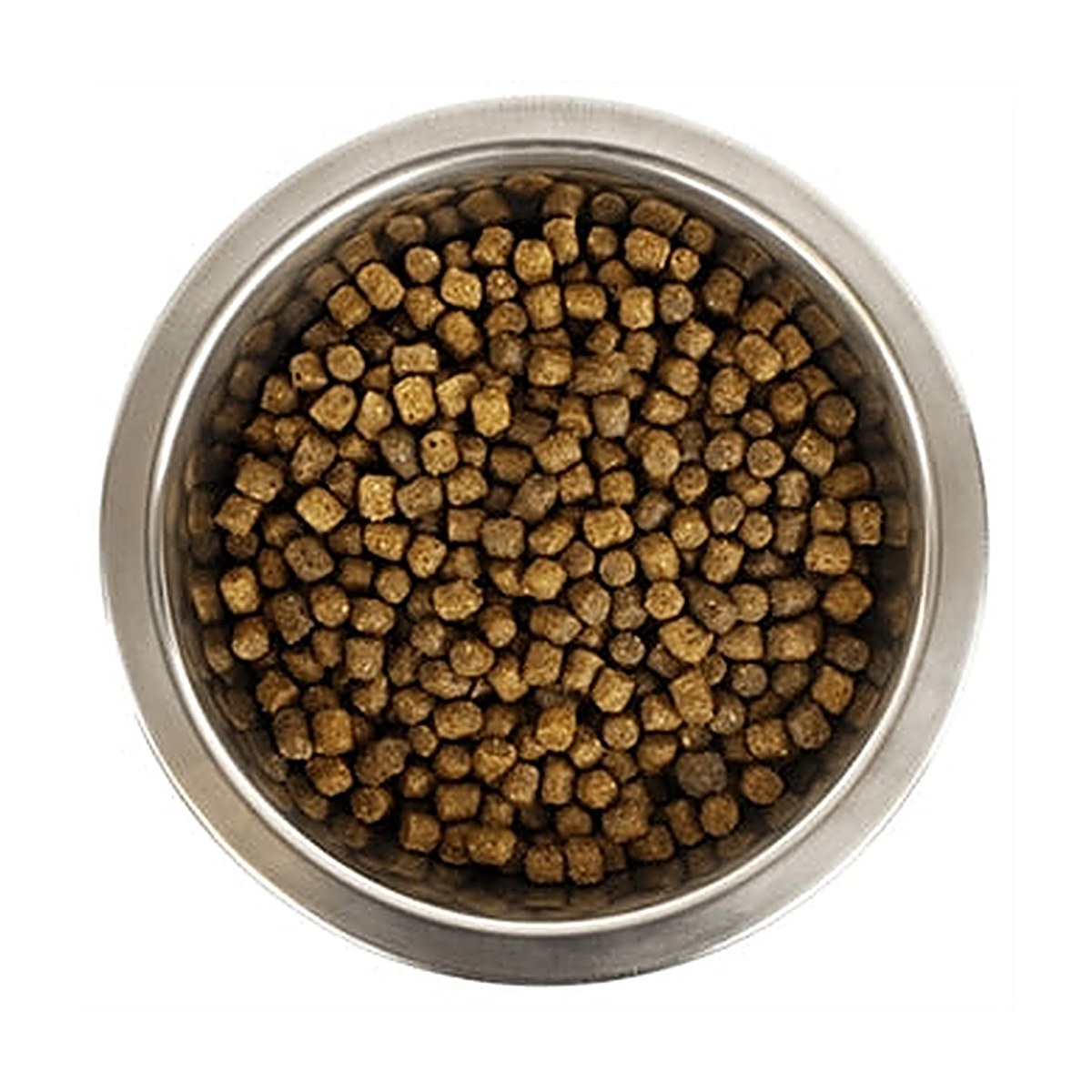 Yourdog Yd Dwerg- Of Toypoedel Pup 12 kg