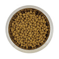 Yourdog Yd Dwerg- Of Toypoedel Volw 12 kg